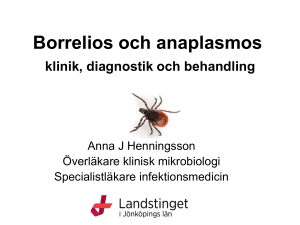 Fästingburna infektioner - klinik och epidemiologi