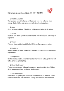 Hjärtat och blodomloppet (sid. 161-167 + 169