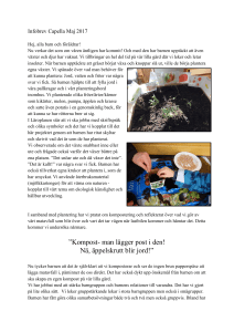 Kompost- man lägger post i den! Nä, äppelskrutt blir jord!”