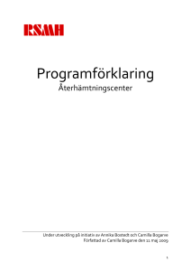 Programförklaring