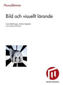 Bild och visuellt lärande