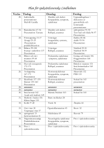 plan_lindh_v20_40