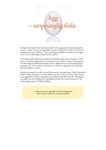 Ägg – ursprunglig föda