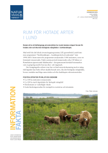 Rum för hotade arter i Lund. ISBN 978-91-620