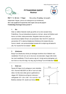 Riksfinal del 1 med facit