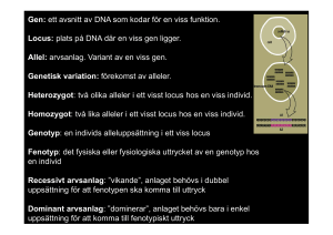 plats på DNA där en viss gen ligger. Allel: arvsanlag. Variant