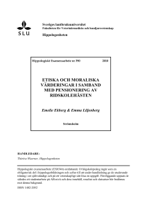 Moraliska/etiska värderingar i samband med den