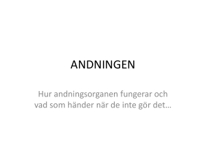 ANDNINGEN