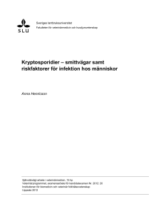Kryptosporidier – smittvägar samt riskfaktorer för infektion hos