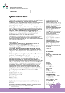 Systemadministratör