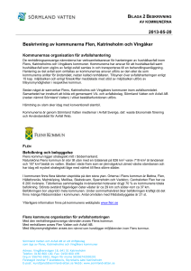 Flens kommun