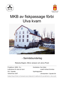 MKB av fiskpassage förbi Ulva kvarn