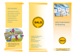 SALO individstöd fördjupning folder webb