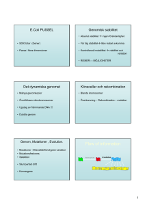 Flow of information