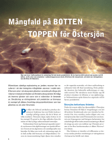 Mångfald på boTTen Toppen för östersjön