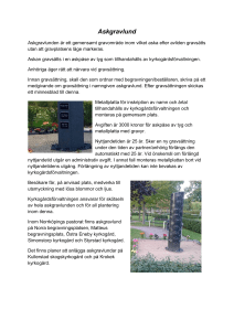 Askgravlund - Svenska Kyrkan