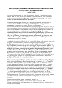 Påverkar progestogena och aromatas