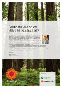 Skulle du vilja se ett jätteträd på nära håll?