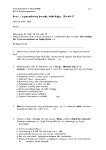 Organismbiologi botanik 020824