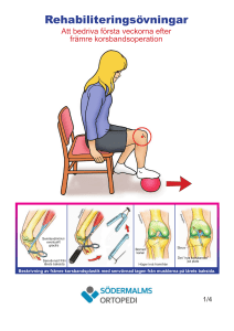 Korsbandsrekonstruktion Hamstring