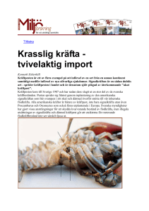 Krasslig kräfta - tvivelaktig import