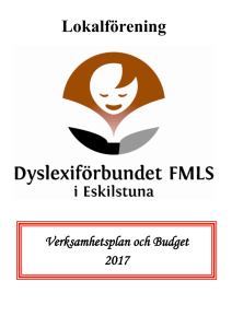 Verksamhetsplan 2017