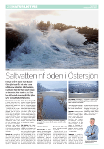 Saltvatteninflöden i Östersjön