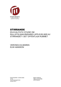 C-uppsats stirrandetx