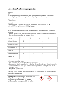 Laboration: Nedbrytning av proteiner - YH