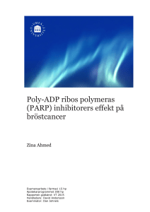 Examensarbete – mall för rapport