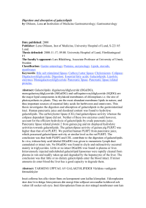 Digestion and absorption of galactolipids by Ohlsson, Lena at