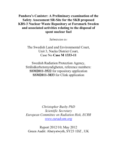 Preliminary examination of the Safety Assessment SR