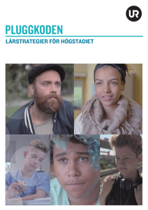 pluggkoden