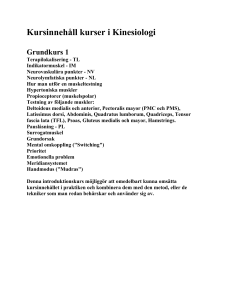 Kursinnehåll kurser i Kinesiologi