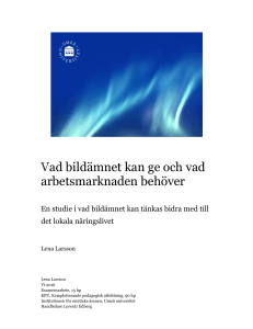 Vad bildämnet kan ge och vad arbetsmarknaden behöver