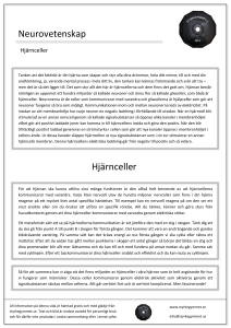 Neurovetenskap Hjärnceller