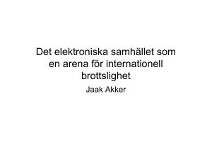 Det elektroniska samhället som en arena för