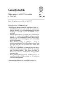 Tilläggsdirektiv till LSS-kommittén (S 2004:06)