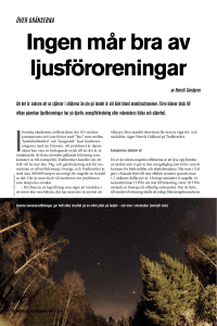 Ingen mår bra av ljusföroreningar