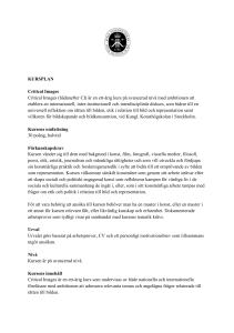 Kursplan Critical Images
