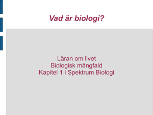 Presentation av nyhet