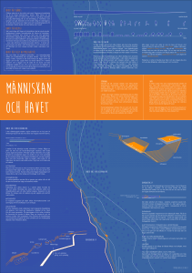 havet är skånes havet är allas! havet är fullt av möjligheter