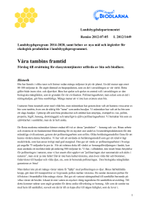 Våra tambins framtid