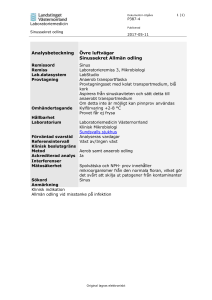 Sinussekret odling