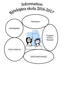 Björktjära skolas informationsbroschyr