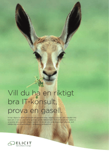 Vill du ha en riktigt bra IT-konsult, prova en gasell.