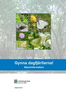 Gynna dagfjärilarna