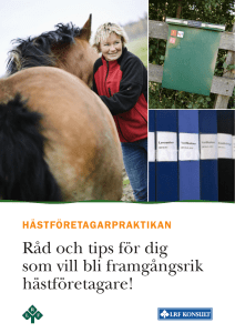 Råd och tips för dig som vill bli framgångsrik hästföretagare!