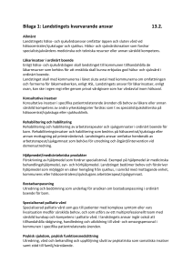 Bilaga 1: Landstingets kvarvarande ansvar 13.2.