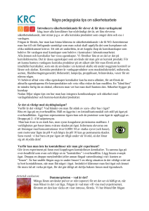 Några pedagogiska tips om säkerhetsarbete